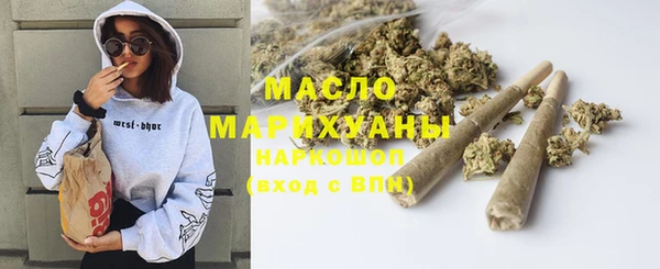 молекула духа Арсеньев