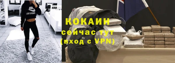 молекула духа Арсеньев