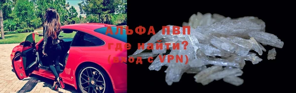 молекула духа Арсеньев