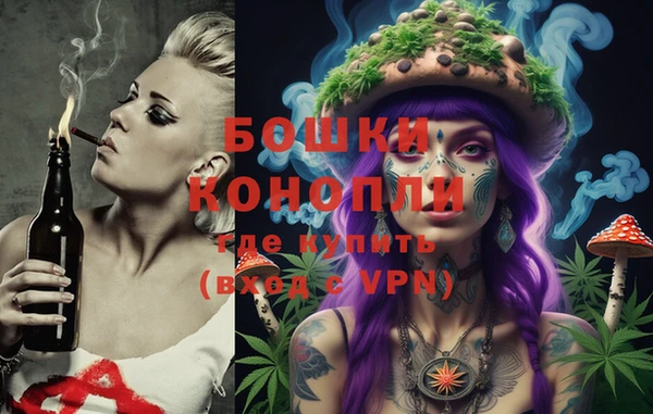 молекула духа Арсеньев
