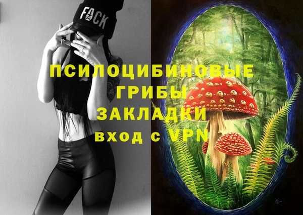 молекула духа Арсеньев