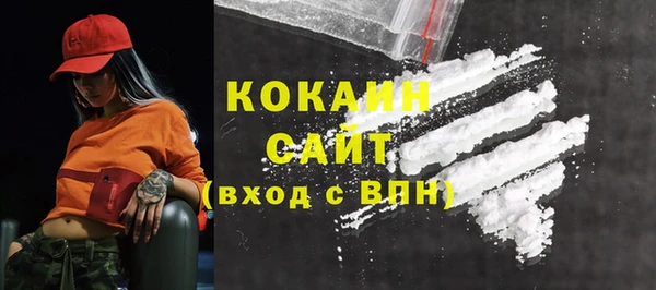 молекула духа Арсеньев