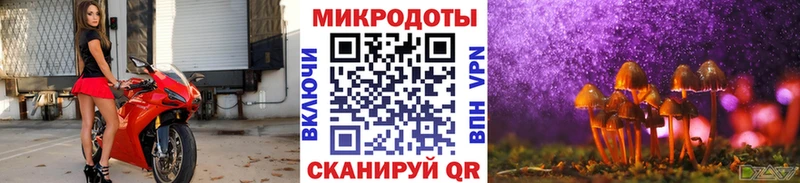 KRAKEN вход дарк нет состав Псилоцибиновые грибы Psilocybe Лесозаводск